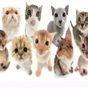 Meet your Posher, Noah